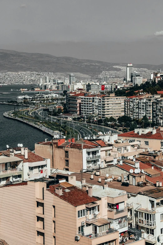 a view of a city from the top of a building, by Nabil Kanso, harbour in background, complex and desaturated, split near the left, brown