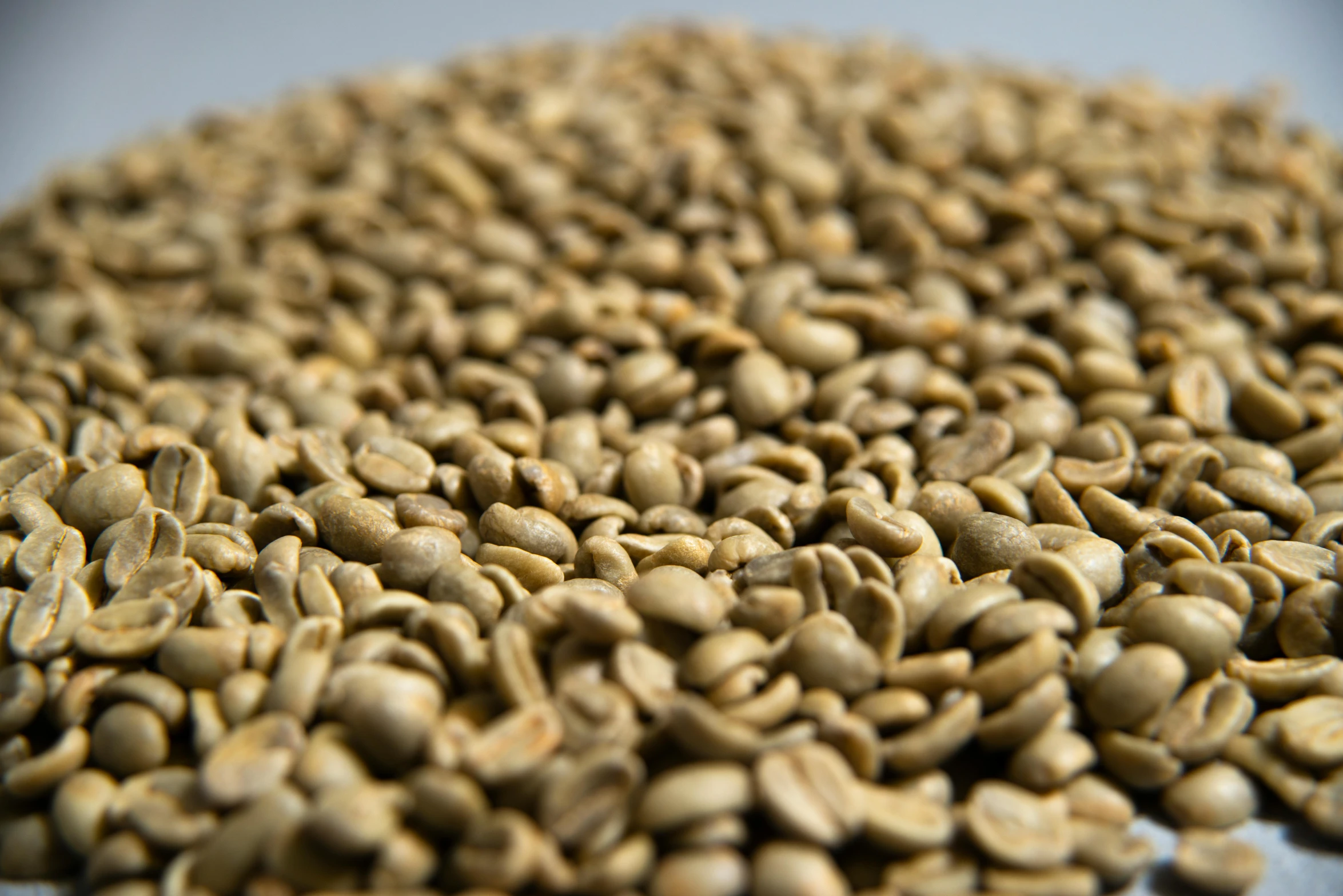 a pile of coffee beans sitting on top of a table, by Yasushi Sugiyama, green gold, perfect crisp light, thumbnail, close up photo