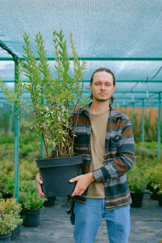 a man holding a potted plant in a greenhouse, a portrait, unsplash, renaissance, manuka, willow trees, portait image, multi-part