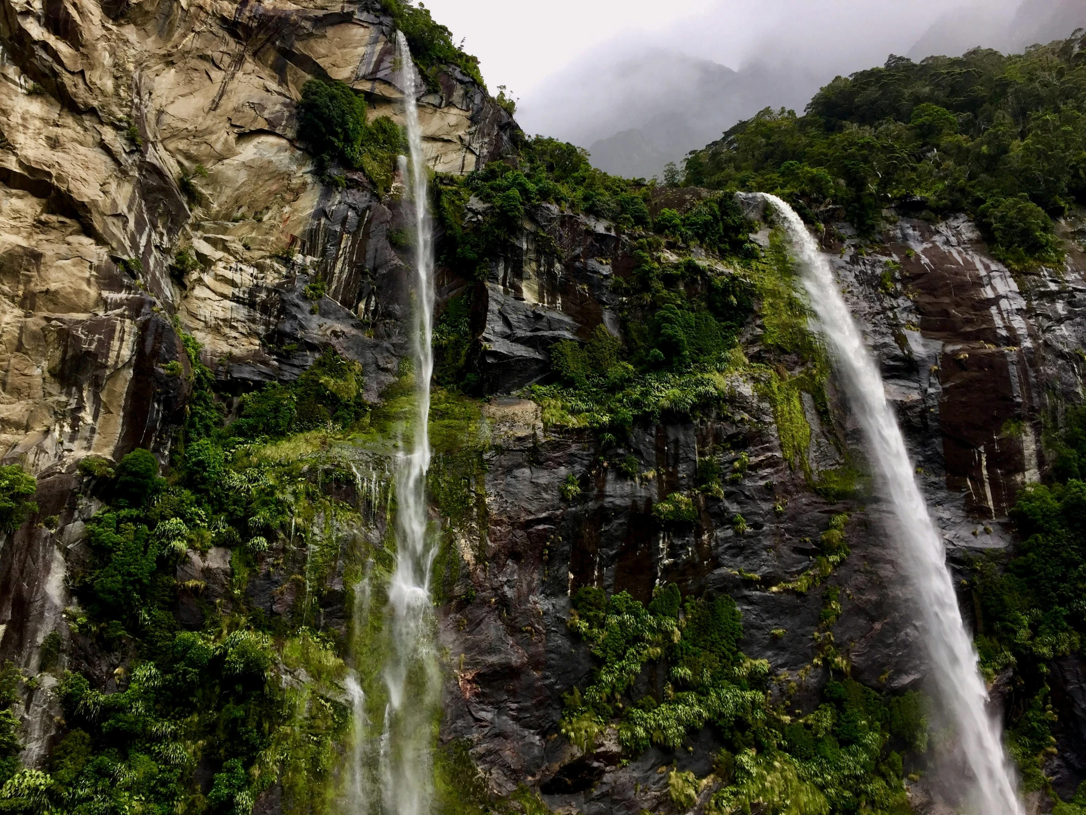 a group of people standing in front of a waterfall, lush valley, nagas, avatar image