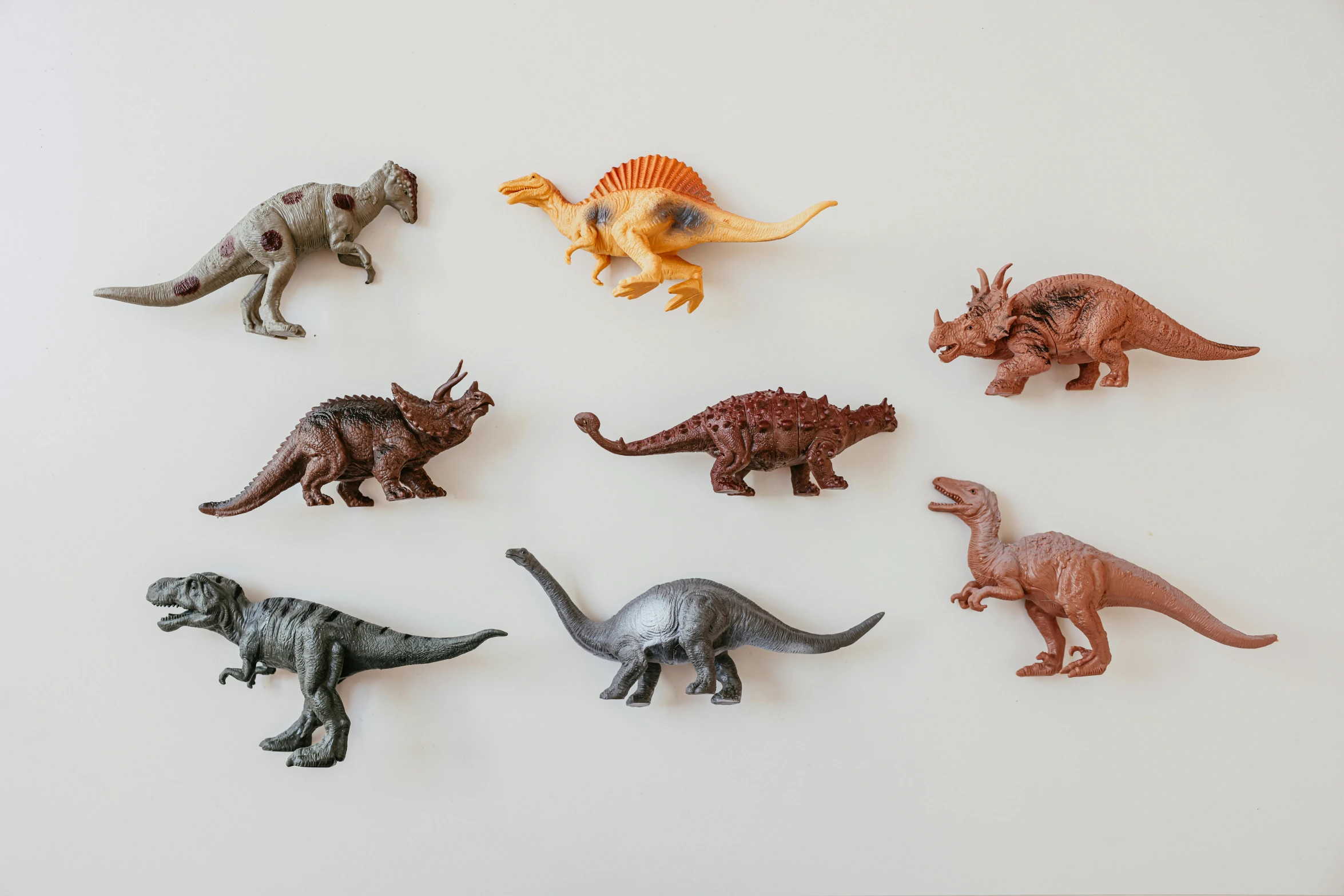 a collection of toy dinosaurs on a white surface, by Ruth Simpson, trending on unsplash, plasticien, displayed on the walls, group of seven, little kid, quixel megascans