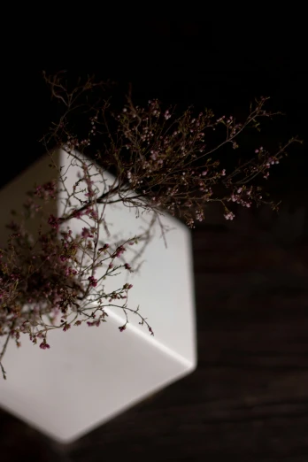 a vase with some flowers in it on a table, an abstract sculpture, inspired by Anton Mauve, unsplash, conceptual art, rectangle white porcelain table, detail texture, herbs, side lighting