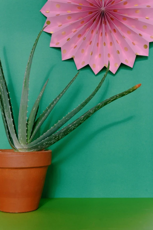 a pink paper flower sitting next to a potted plant, by Carey Morris, still life photo of a backdrop, spiky skin, product display photograph, green plant