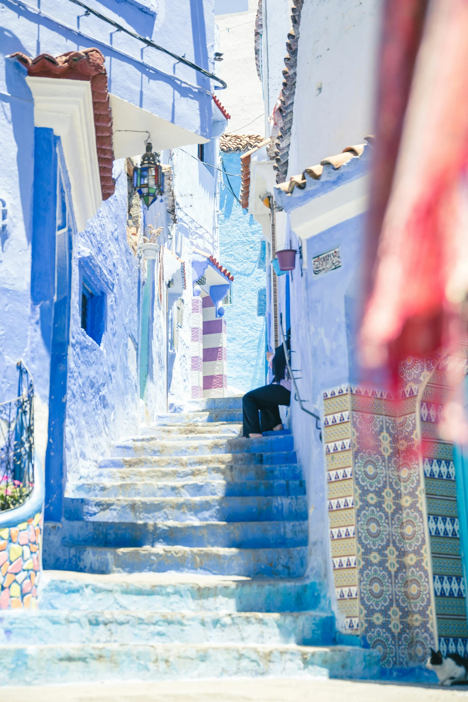 a cat sitting on the steps of a blue building, inspired by Alberto Morrocco, trending on unsplash, arabesque, built on a steep hill, colorful robes, slide show, buildings carved out of stone