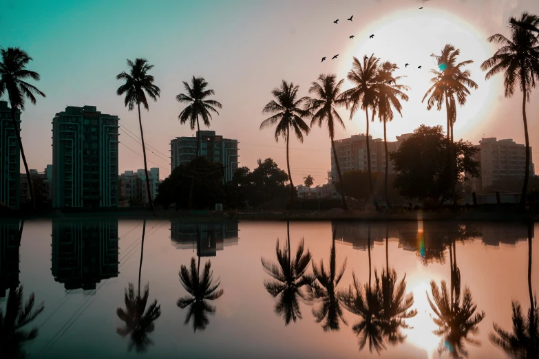 a large body of water surrounded by palm trees, by Niko Henrichon, pexels contest winner, hurufiyya, city reflection, beautiful late afternoon, stunning screensaver, multiple stories