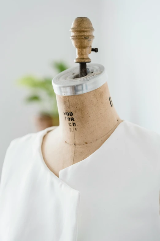 a close up of a dress on a mannequin, inspired by Alfred Jensen, trending on pexels, collar around neck, white mechanical details, product introduction photo, a wooden