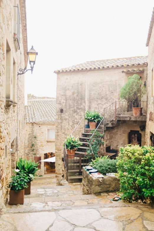 a narrow cobblestone street lined with potted plants, by Daniel Seghers, trending on unsplash, romanesque, french village exterior, 2 5 6 x 2 5 6 pixels, an abandonded courtyard, overlooking