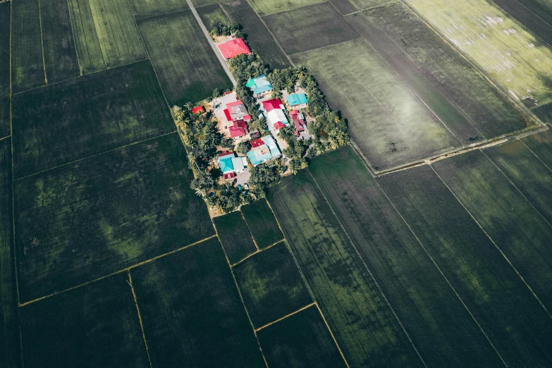 an aerial view of a house in the middle of a field, pexels, color field, rice paddies, high school, print ready, complex buildings