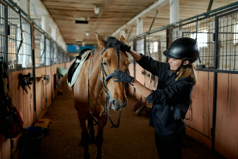 a woman standing next to a brown horse, pexels contest winner, inspect in inventory image, wearing her helmet, indoor picture, thumbnail