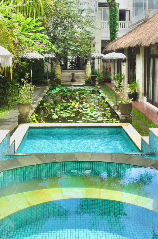a small pool in the middle of a garden, bali, square, looking towards camera, the poolrooms