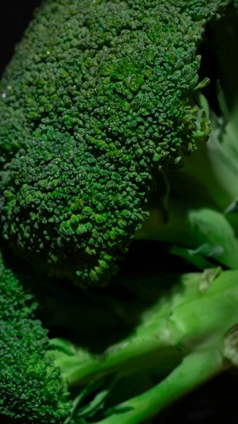 a close up of a piece of broccoli, by Dave Allsop, pexels, camera footage, taken from the high street, black, organics