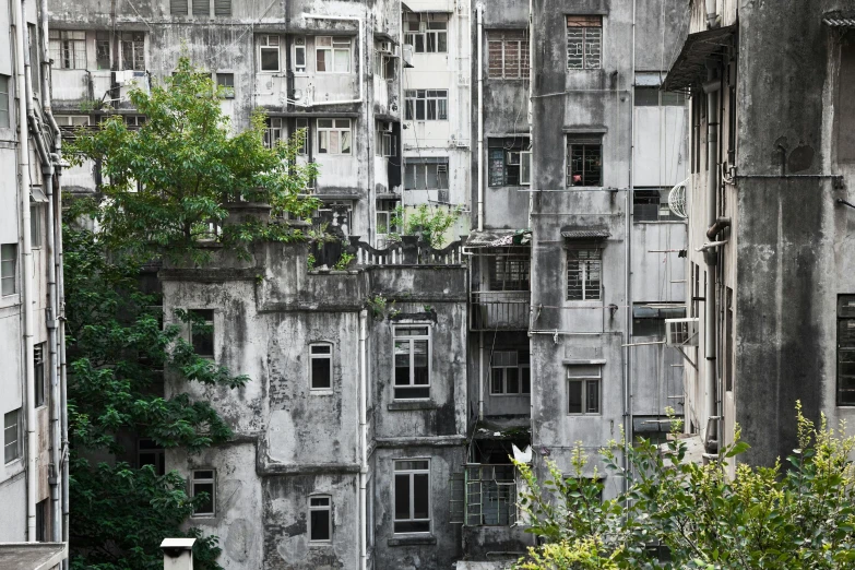 a couple of buildings that are next to each other, a matte painting, inspired by Thomas Struth, unsplash contest winner, brutalism, streets of calcutta, overgrown with lush vines, hong kong 1 9 5 4, “derelict architecture buildings