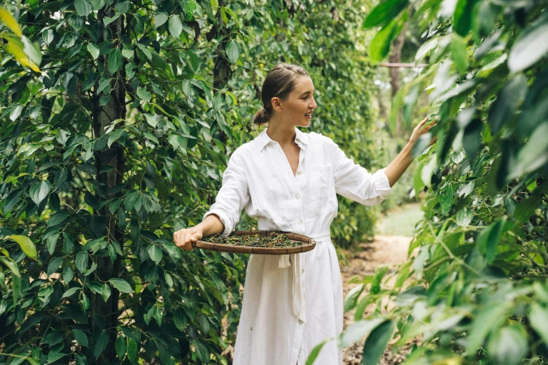 a woman in a white dress holding a basket of coffee beans, by Elizabeth Durack, pexels contest winner, archways made of lush greenery, carrying a tray, permaculture, jasmine