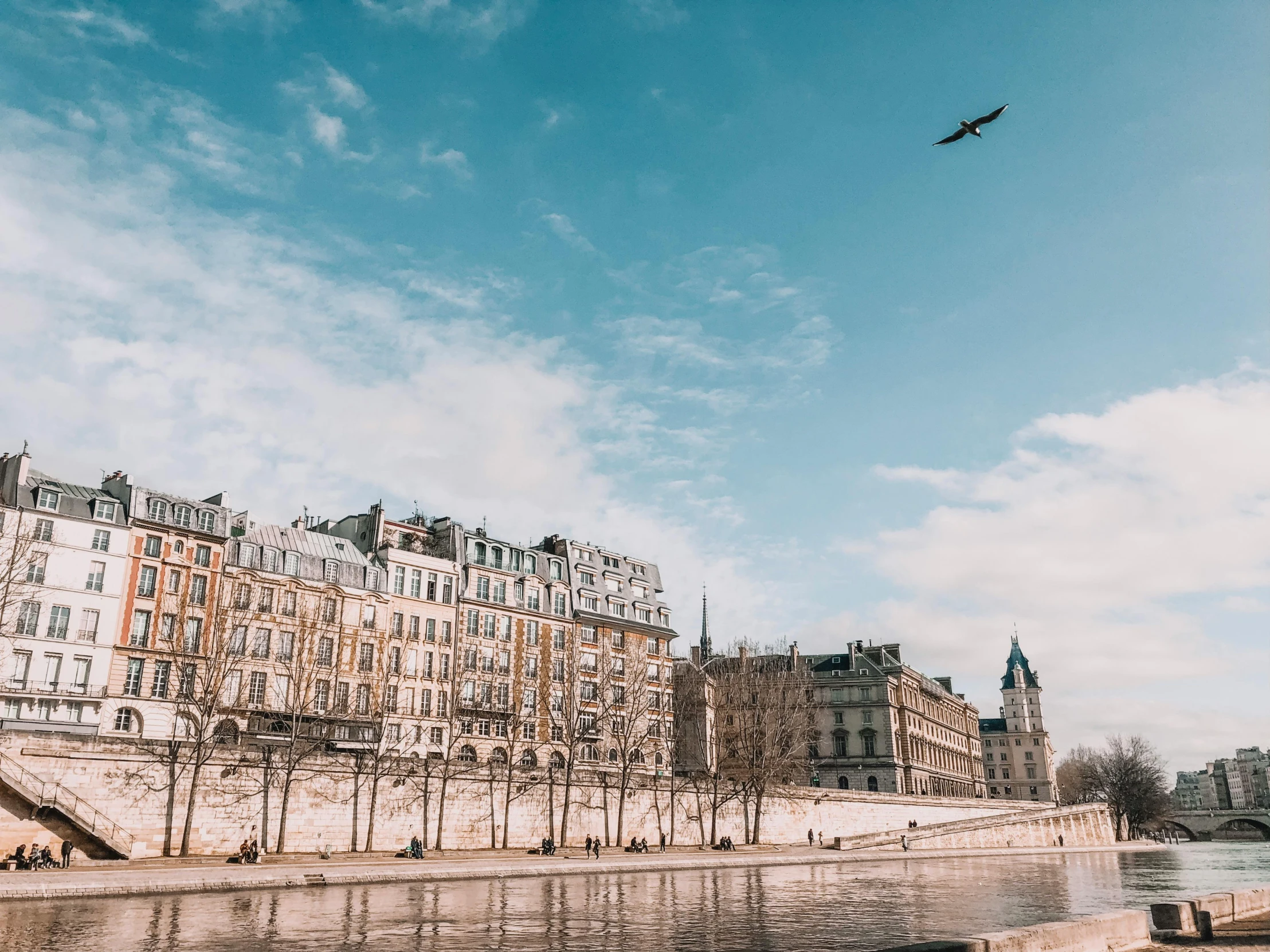 a bird flying over a body of water, a photo, pexels contest winner, paris school, 🚿🗝📝