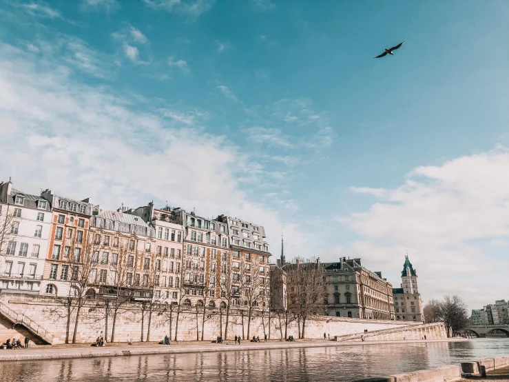 a bird flying over a body of water, a photo, pexels contest winner, paris school, 🚿🗝📝