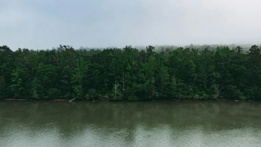 a large body of water surrounded by trees, by Carey Morris, unsplash, hurufiyya, green smoggy sky, cahaba river alabama, panoramic, big overcast