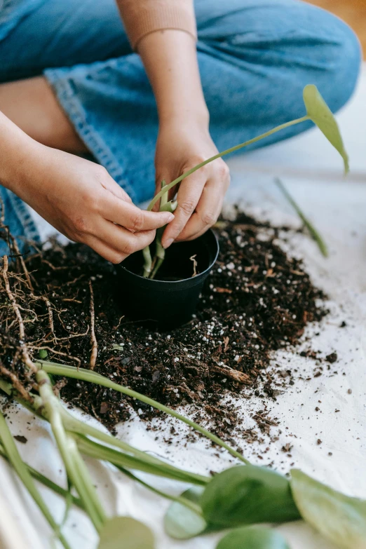 a woman sitting on a bed holding a potted plant, unsplash, process art, pulling weeds out frantically, unfinished roots of white sand, detailed product image, orchid stems