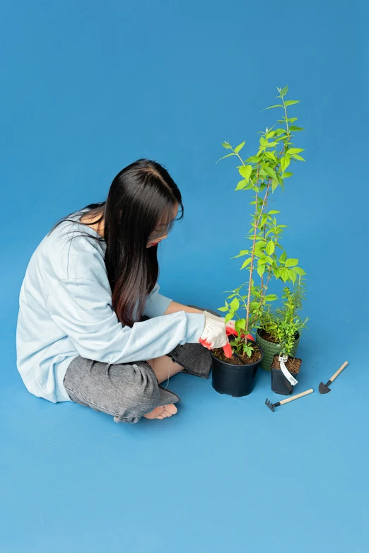 a woman kneeling down next to a potted plant, process art, product design shot, asian female, multi-part, repairing the other one