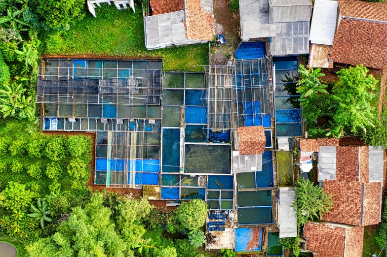a bird's eye view of a house surrounded by trees, an album cover, unsplash, renaissance, fish seafood markets, sri lankan landscape, glass greenhouse, hydroponic farms