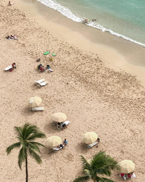 a group of people laying on top of a sandy beach, umbrellas, flatlay, coconut trees, lgbtq