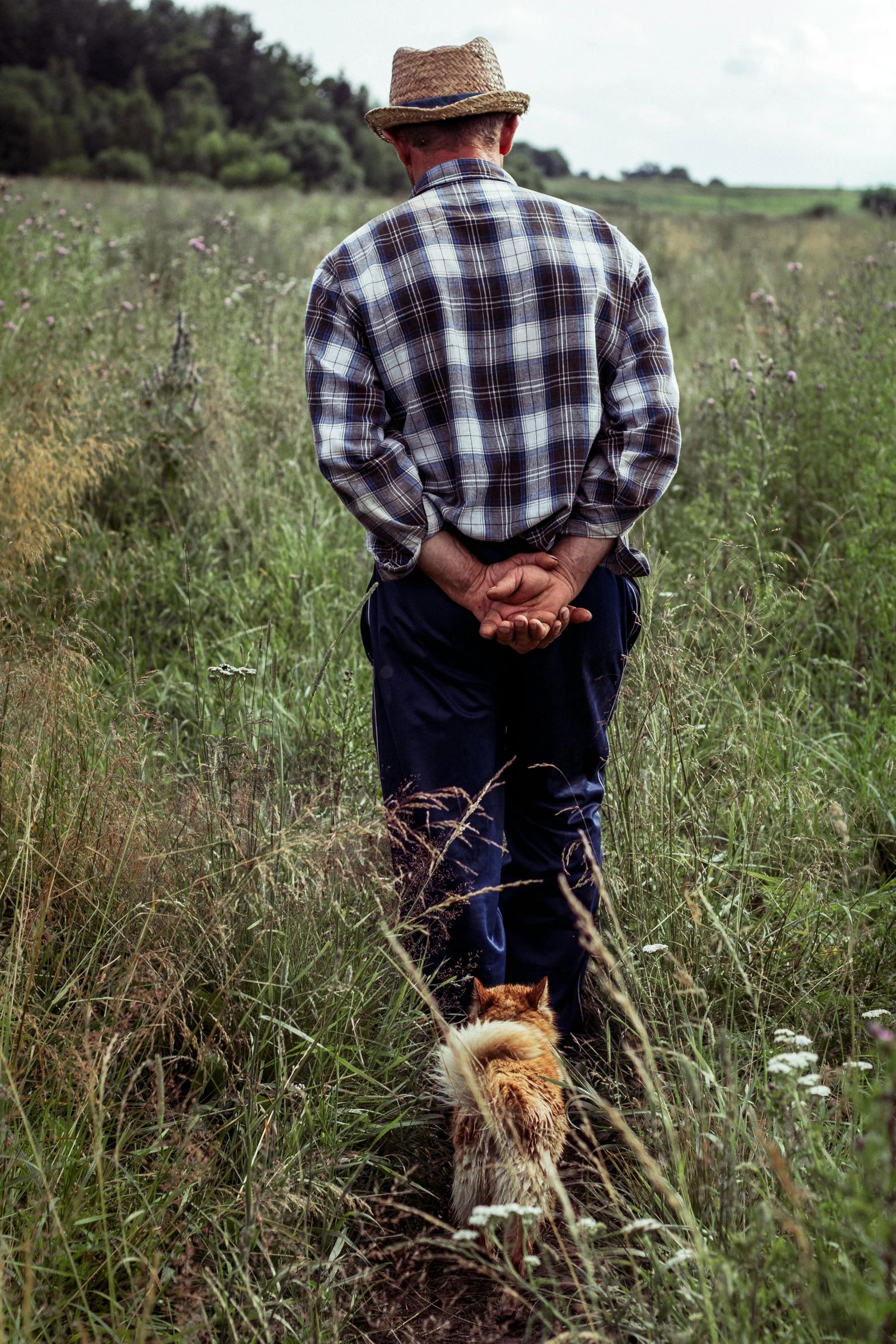 a man walking in a field with a dog, by Russell Drysdale, boy with cat ears and tail, joe biden full body shot, annie lebowitz, ap news photograph