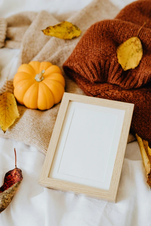 a picture frame sitting on top of a bed next to a pile of autumn leaves, cloth accessories, 2019 trending photo, pumpkin, various items