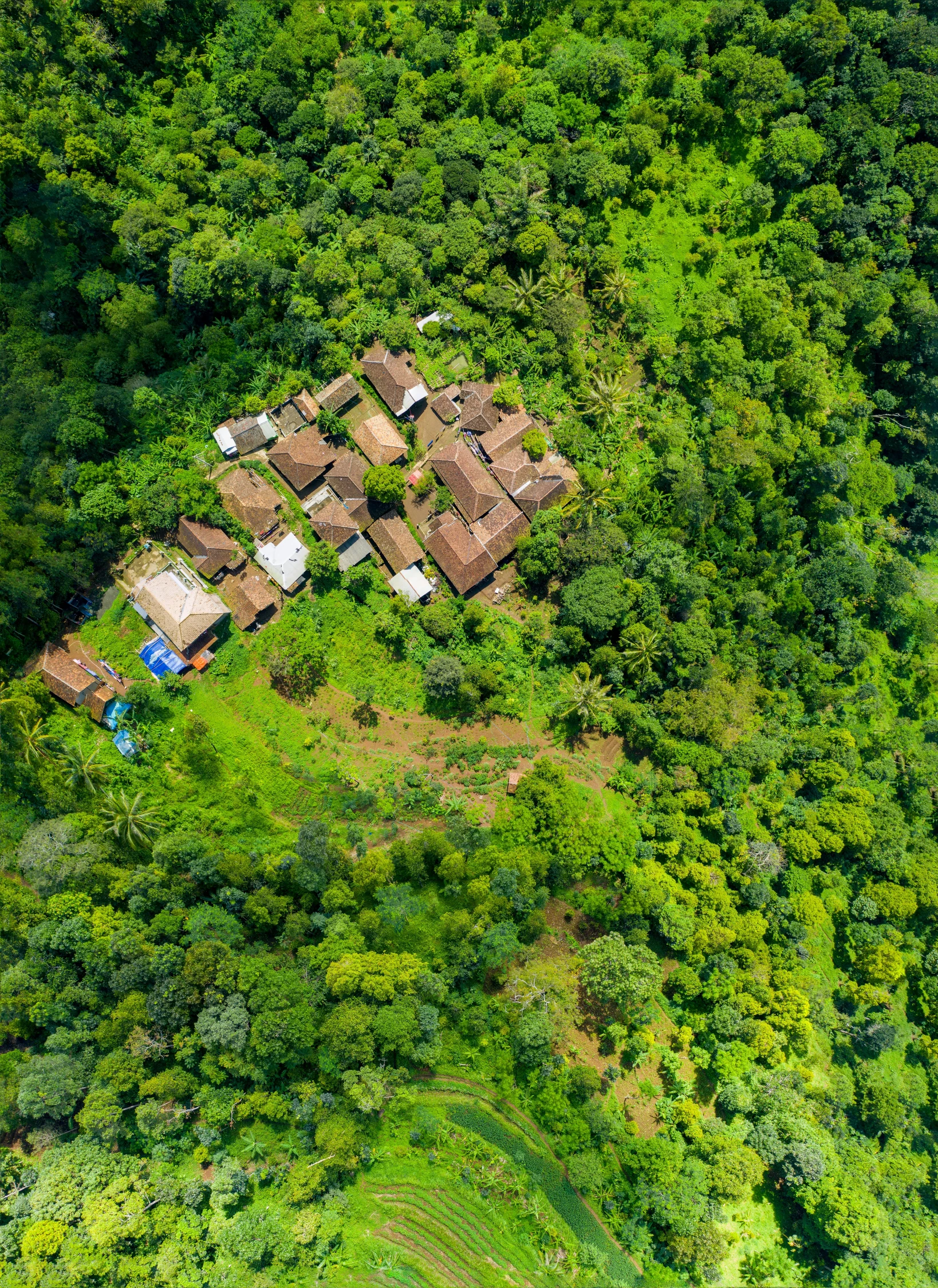 an aerial view of a small village in the middle of a forest, by Daniel Lieske, colombian, slide show, 8 k image