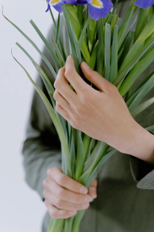 a person holding a bunch of purple flowers, fronds, nerves, plain background, cinematic still