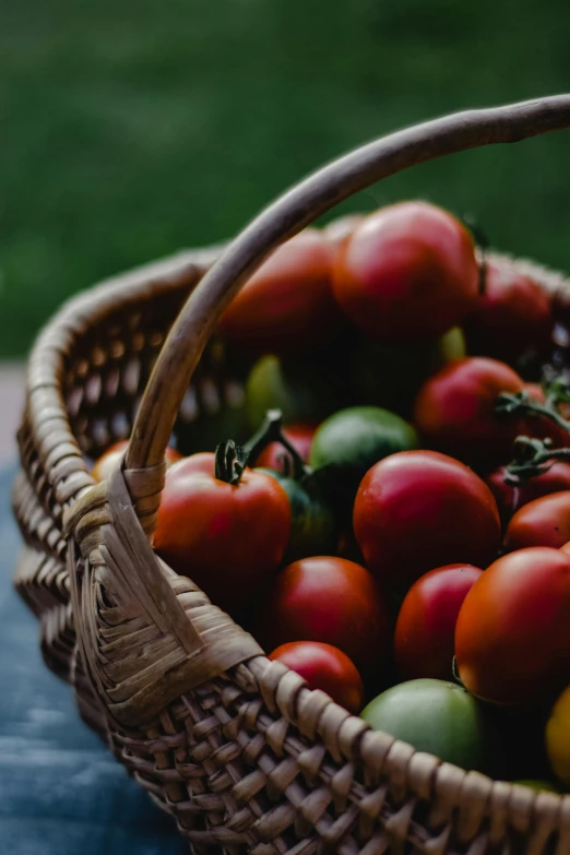 a basket full of tomatoes sitting on top of a table, by Jessie Algie, pexels contest winner, renaissance, late summer evening, greens, screensaver, exterior shot