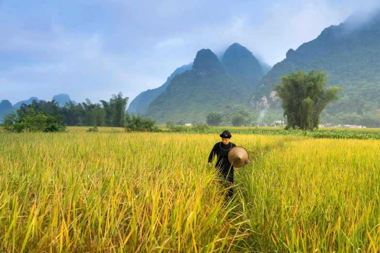 a man walking through a lush green field, inspired by Cui Bai, pexels contest winner, karst landscape ; wide shot, pith helmet, avatar image, vietnamese woman