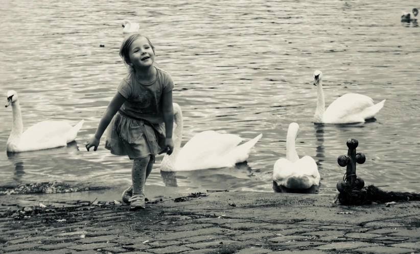 a black and white photo of a little girl surrounded by swans, a black and white photo, happy friend, stepping stones, colour photo, lookalike