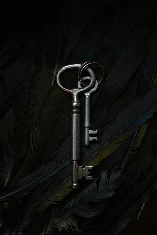 a silver key sitting on top of a pile of feathers, an album cover, by Adam Marczyński, pexels contest winner, symbolism, style of the game rimworld, steam community, scp-049, profile picture 1024px