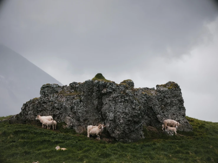 a herd of sheep standing on top of a lush green hillside, an album cover, by Adriaen Hanneman, unsplash contest winner, grey skies, jagged blocks of stone, background image, shot on sony a 7 iii