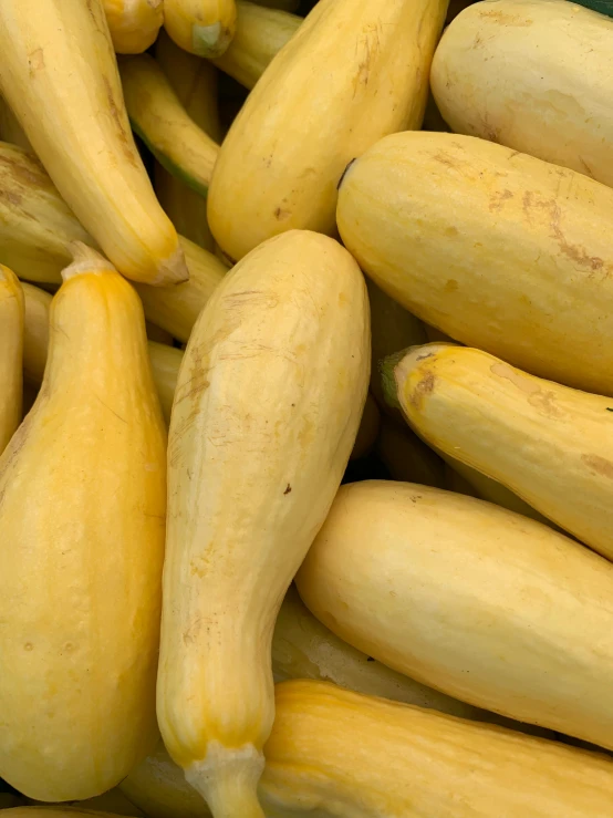 a pile of yellow zucchini sitting on top of each other, with a whitish, 5 k, high quality product image”, viewed from a distance