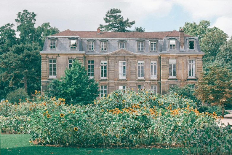 a large building sitting on top of a lush green field, inspired by Villard de Honnecourt, unsplash, paris school, gardens with flower beds, autumnal, botanical herbarium, frontal view