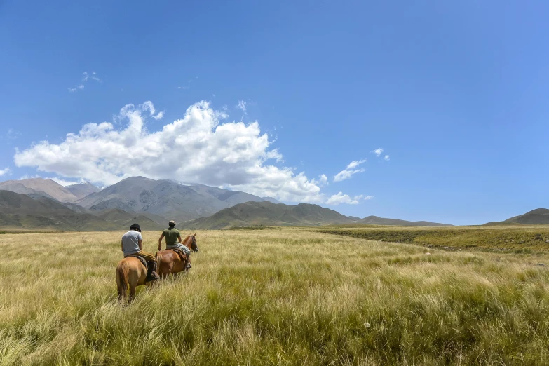 a couple of people riding on the backs of horses, by Peter Churcher, trending on unsplash, kahikatea, grass mountain landscape, avatar image