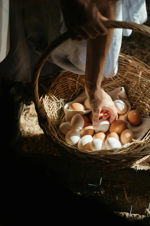 a person holding a basket full of eggs, by Jan Tengnagel, pexels contest winner, renaissance, soft shade, on a farm, a high angle shot, play of light