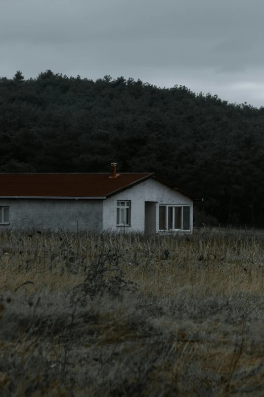 a house in a field with trees in the background, an album cover, by Attila Meszlenyi, unsplash, modernism, still from horror movie, in dayz, exterior view, panorama view