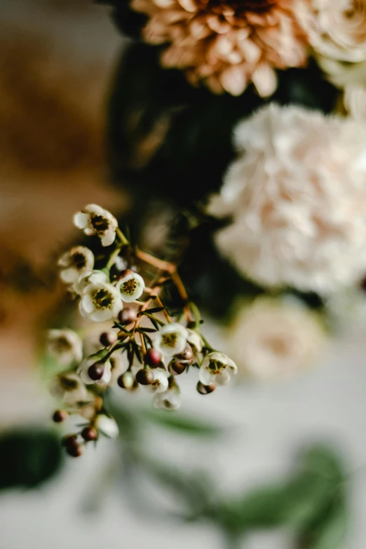 a bouquet of flowers sitting on top of a table, a still life, by Elsie Few, trending on unsplash, romanticism, bokeh intricate details, manuka, detail shot, overhanging branches