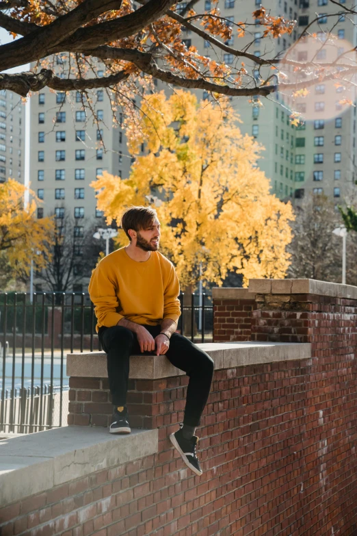 a man sitting on top of a brick wall, by Washington Allston, trending on unsplash, yellow clothes, fall foliage, alex kanevsky, attractive photo