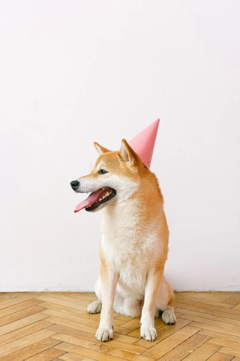 a dog wearing a party hat sitting on the floor, trending on unsplash, pink iconic character, shibu inu, cosmopolitan, 0