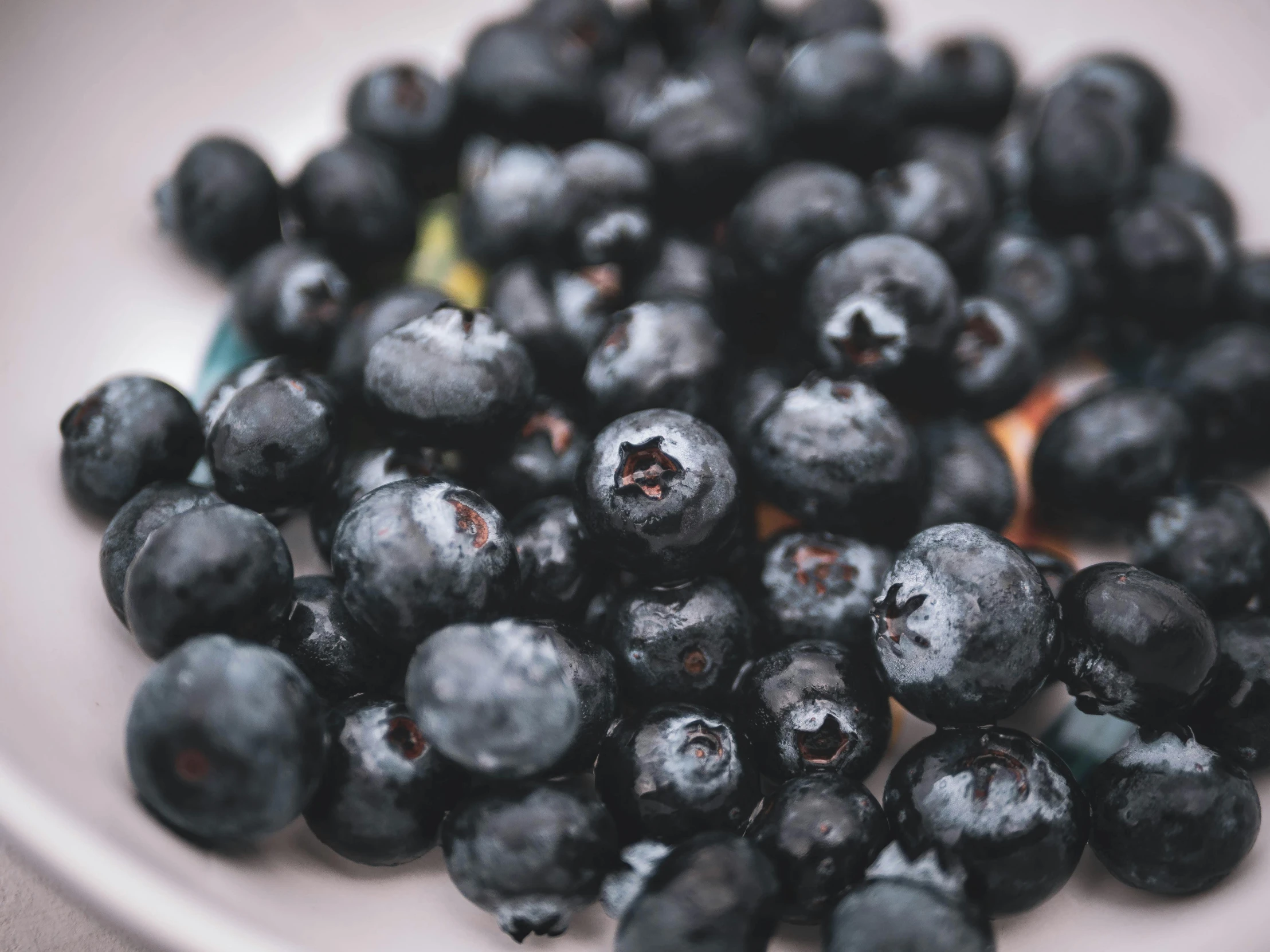 a white plate topped with blueberries on top of a table, by Carey Morris, pexels, black pearls, fruit trees, background image, 🦩🪐🐞👩🏻🦳