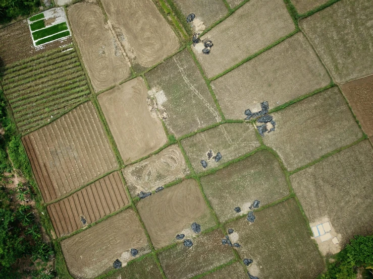 an aerial view of a field of crops, an album cover, land art, damaged structures, 15081959 21121991 01012000 4k, at an archaeological dig site, patchwork