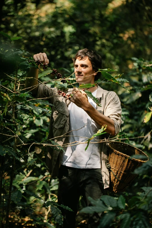 a man standing in a forest holding a basket, celebration of coffee products, profile image, large vines, brown