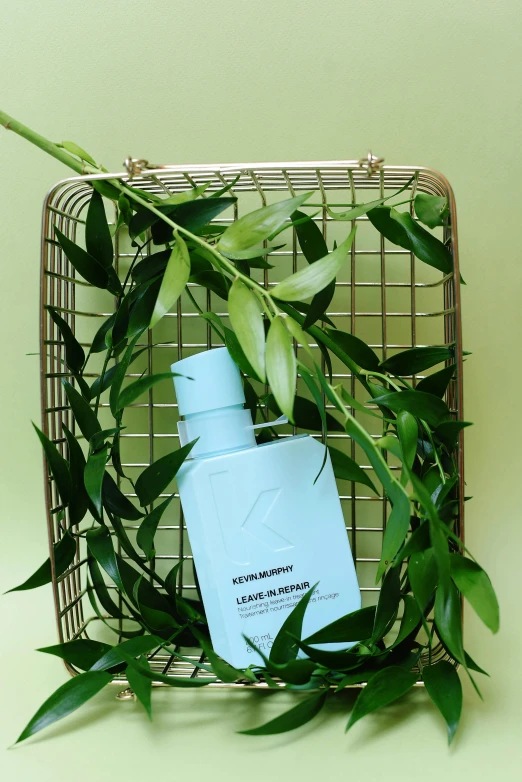 a bottle of body lotion sitting in a basket, by Olivia Peguero, kanamemo, leaf hair, thumbnail, sleek white