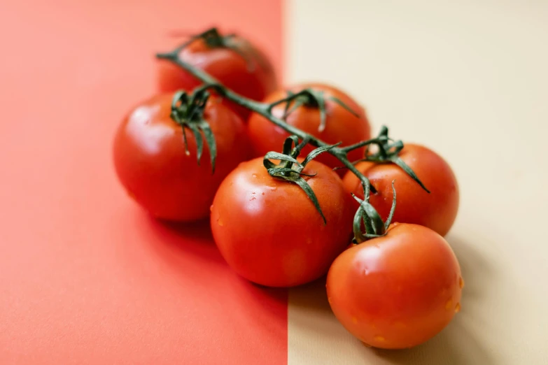 a bunch of tomatoes sitting on top of a table, unsplash, on a red background, with slight stubble, colour photo, no cropping