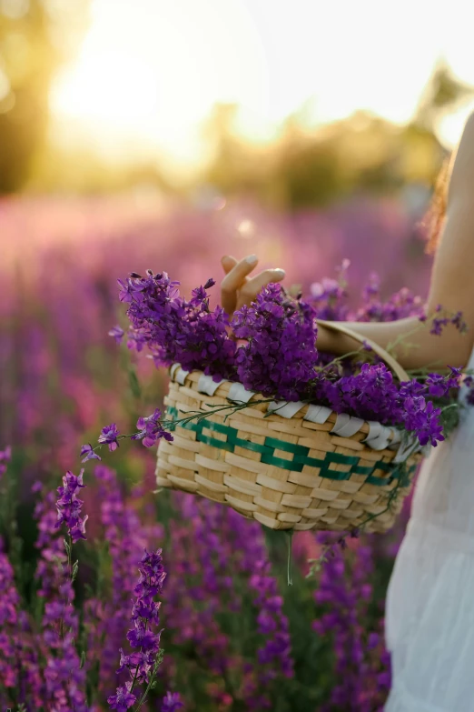 a woman holding a basket of flowers in a field, pexels contest winner, soft purple glow, salvia, picnic, village