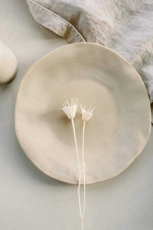 a white plate sitting on top of a table, inspired by Carpoforo Tencalla, minimalism, flannel flower, wet clay, white sweeping arches, modern studio light soft colour