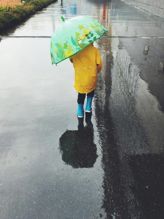 a child walking in the rain with an umbrella, pexels contest winner, yellow and greens, instagram post, puddles of turquoise water, instagram story