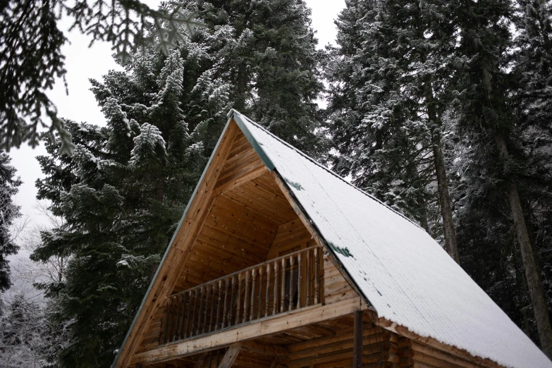 a cabin in the woods with snow on the roof, by Jessie Algie, pexels contest winner, renaissance, black fir, shot from low angle, camp, profile image